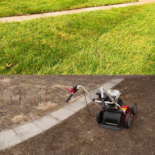 roll out lawn project