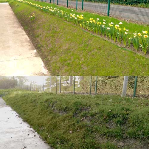 slope project