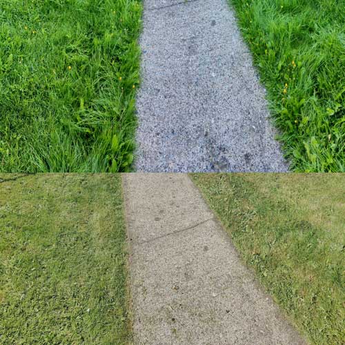 lawn recovery project
